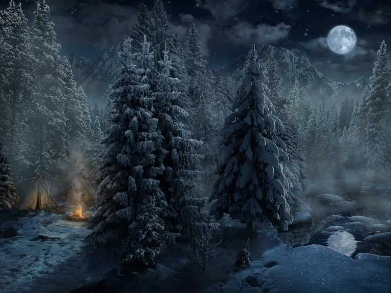 1 сезон 4 серия - Лес / Ночью